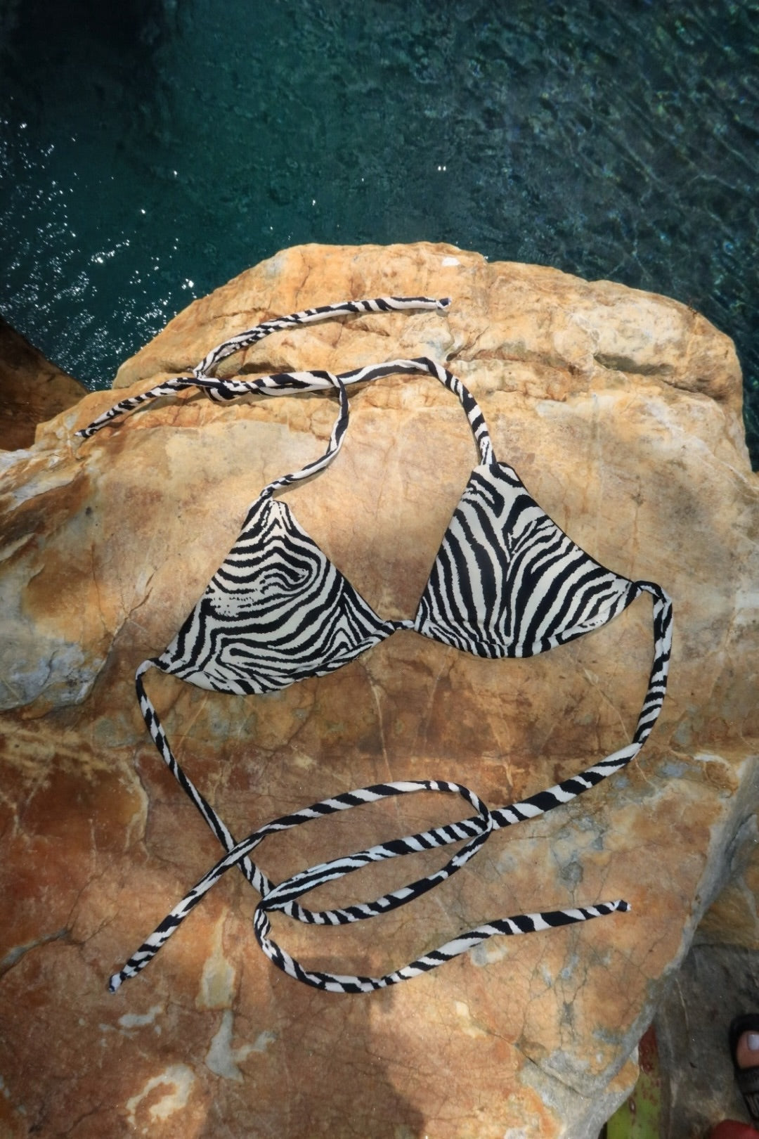 Zebra top