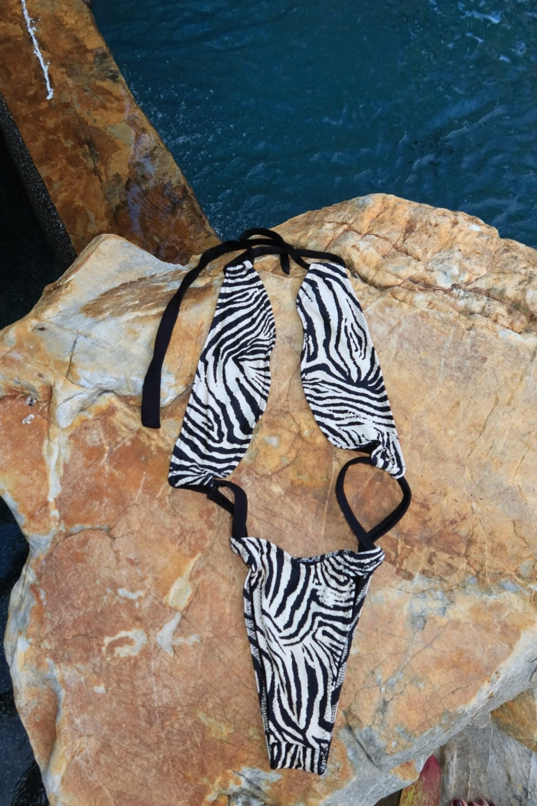 Zebra 1 piece
