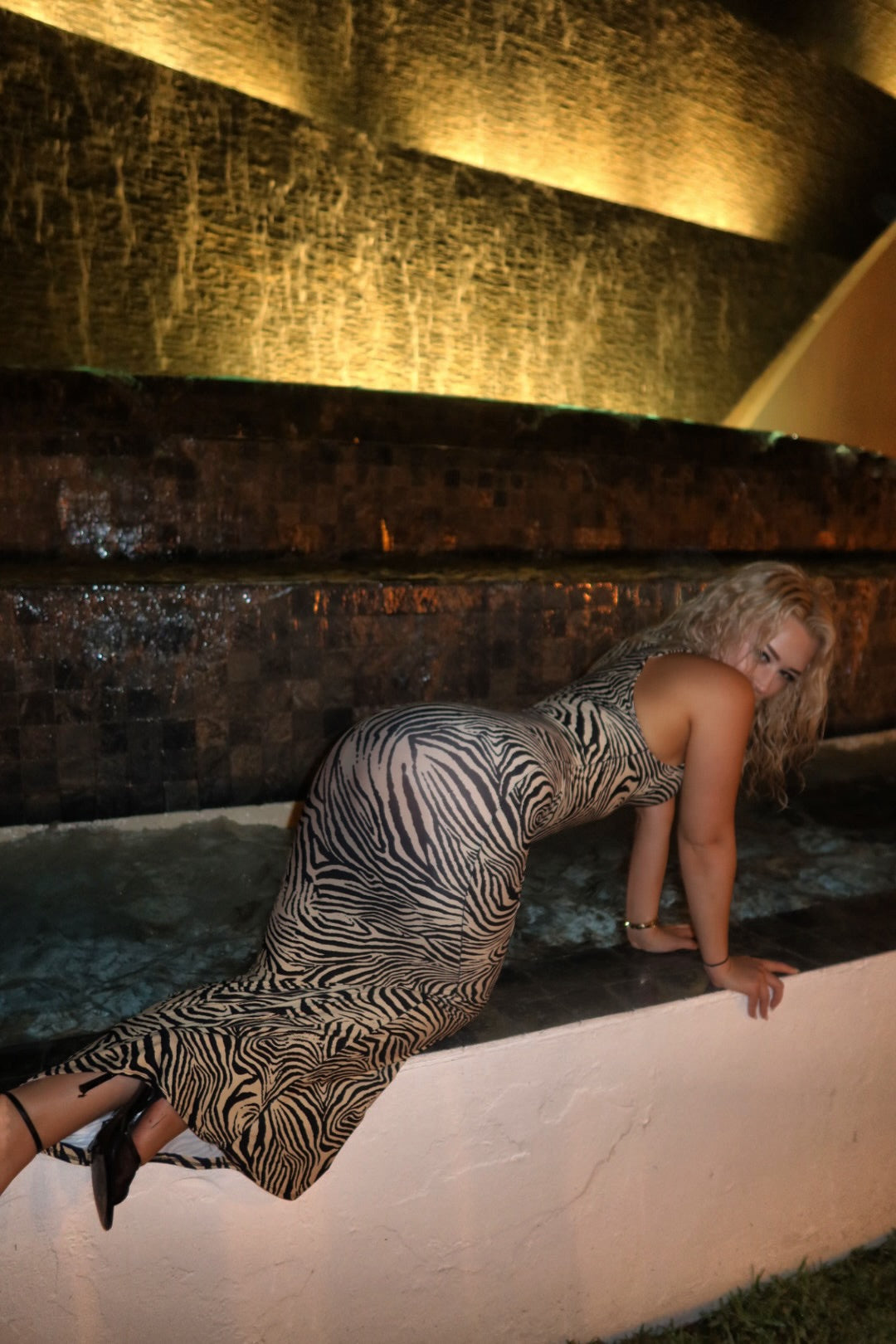 Zebra dress
